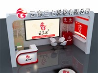 精美效果图展示